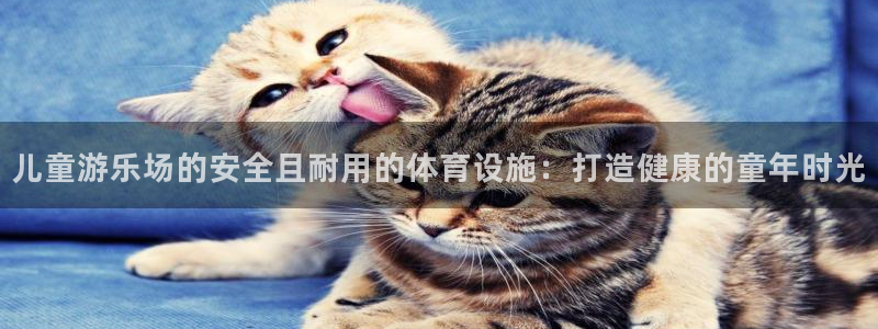 意昂3娱乐40996：儿童游乐场的安全且耐用的体育设