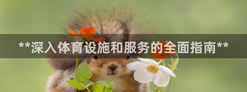 意昂体育3招商电话：**深入体育设施和服务的全面指南