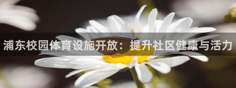 意昂体育3平台假的吗是真的吗