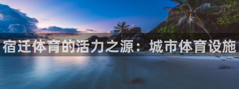 意昂体育3招商：宿迁体育的活力之源：城市体育设施