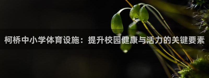 意昂体育3招商电话号码是多少号：柯桥中小学体育设施：