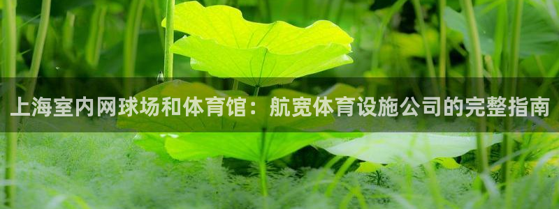 意昂体育3招商电话地址：上海室内网球场和体育馆：航宽