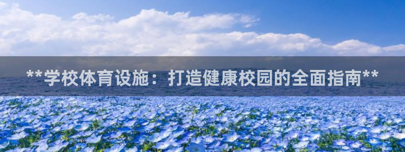 意昂体育3平台注册流程视频：**学校体育设施：打造健
