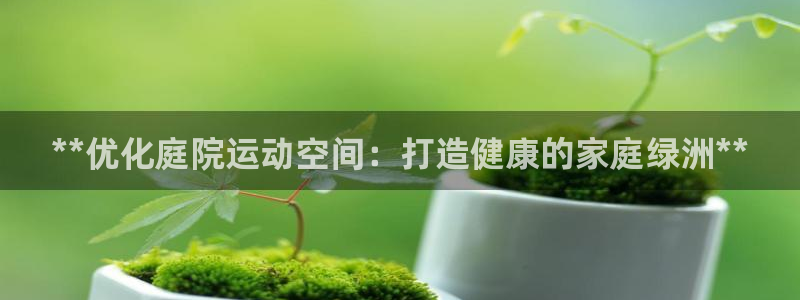 意昂体育3软件：**优化庭院运动空间：打造健康的家庭