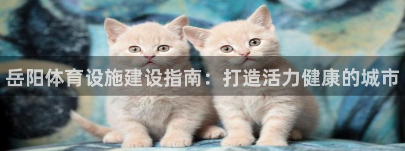 海南意昂体育3：岳阳体育设施建设指南：打造活力健康的