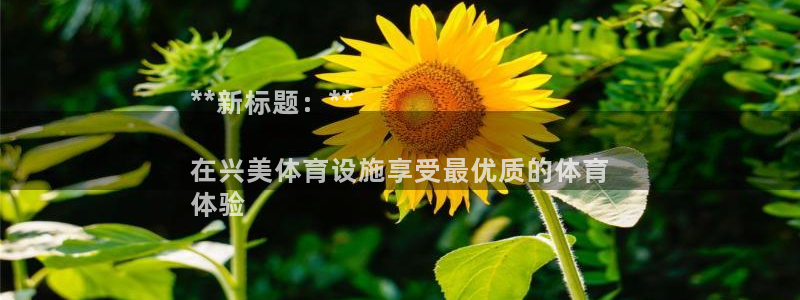 意昂体育3招商电话地址是多少：**新标题：**

在