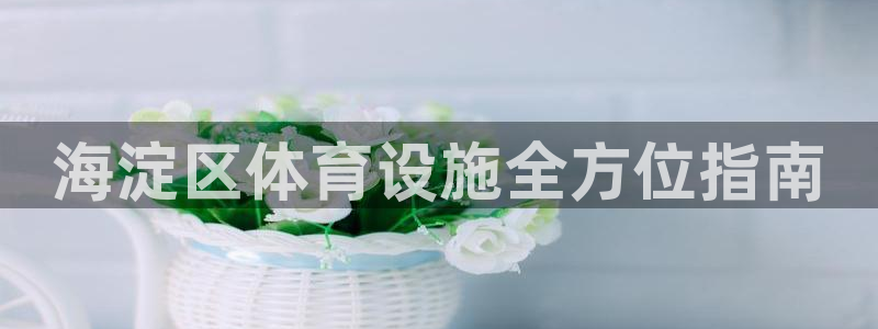 意昂体育3：海淀区体育设施全方位指南