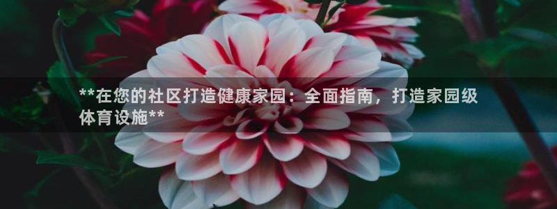 意昂体育3娱乐：**在您的社区打造健康家园：全面指南