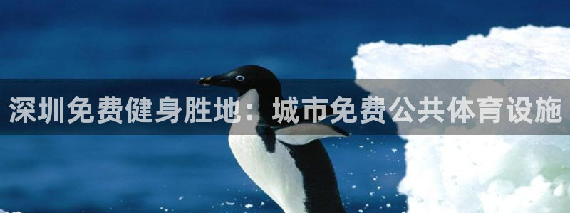 意昂3娱乐平台：深圳免费健身胜地：城市免费公共体育设