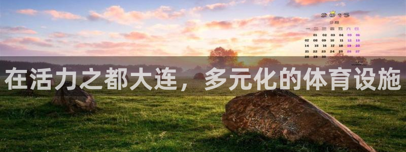 意昂体育3招商：在活力之都大连，多元化的体育设施