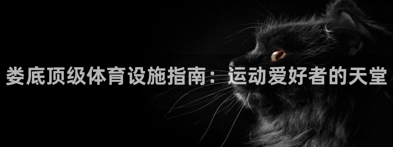 意昂体育3平台APP：娄底顶级体育设施指南：运动爱好