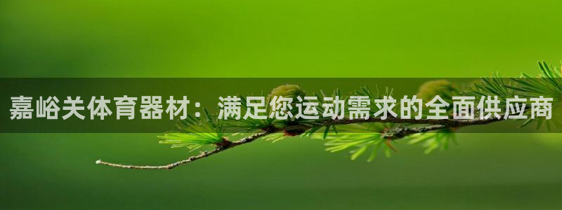 意昂3新能源：嘉峪关体育器材：满足您运动需求的全面供