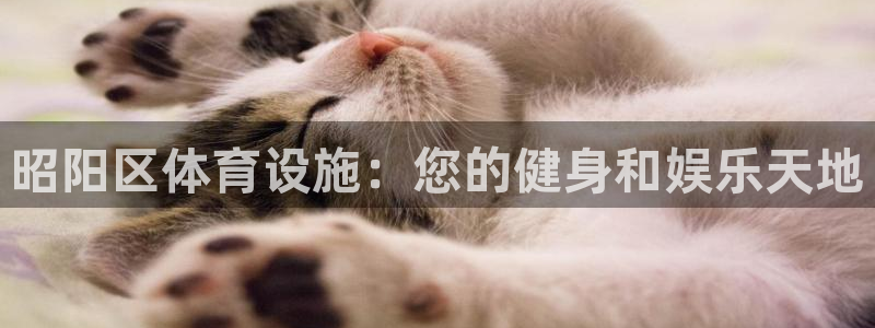 意昂体育3注册：昭阳区体育设施：您的健身和娱乐天地