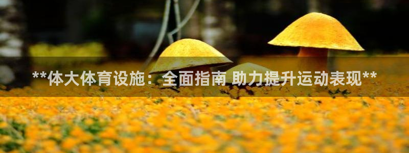 意昂3集团logo：**体大体育设施：全面指南 助力
