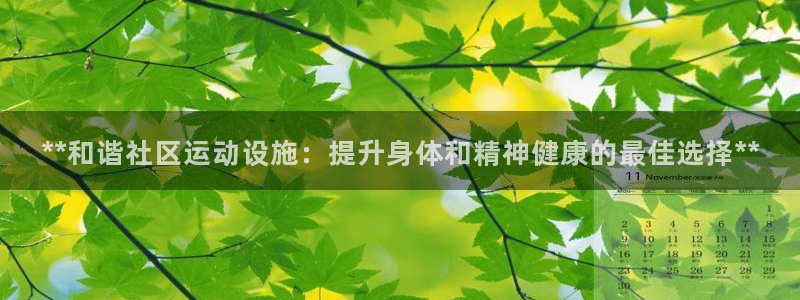 意昂3代理：**和谐社区运动设施：提升身体和精神健康