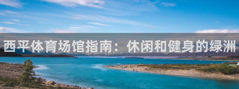 意昂3五金厂：西平体育场馆指南：休闲和健身的绿洲