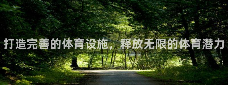 意昂体育3是干嘛的公司：打造完善的体育设施，释放无限
