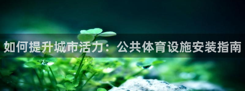 注册意昂3：如何提升城市活力：公共体育设施安装指南