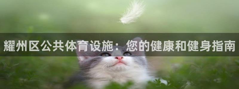 意昂3集团E.ON：耀州区公共体育设施：您的健康和健
