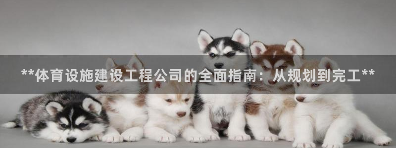 意昂集团官网：**体育设施建设工程公司的全面指南：从