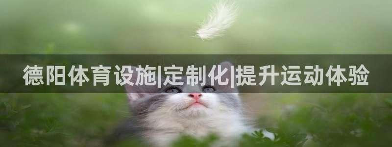 意昂体育3招商电话地址是多少：德阳体育设施|定制化|