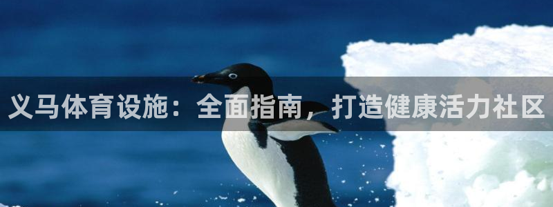 意昂体育3招商电话地址：义马体育设施：全面指南，打造