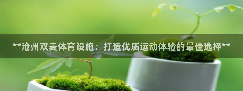 意昂3娱乐代理怎么样：**沧州双麦体育设施：打造优质