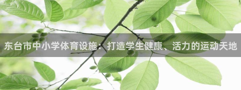 意昂体育3招商电话号码查询是多少
