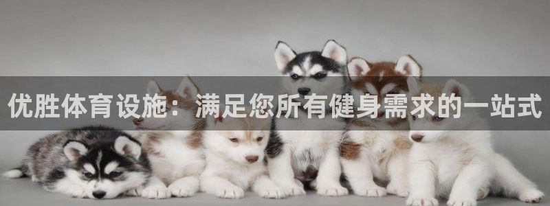 意昂3新能源：优胜体育设施：满足您所有健身需求的一站