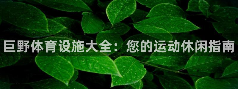 意昂3娱乐网站：巨野体育设施大全：您的运动休闲指南
