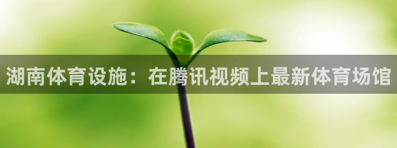意昂体育3是干嘛的公司