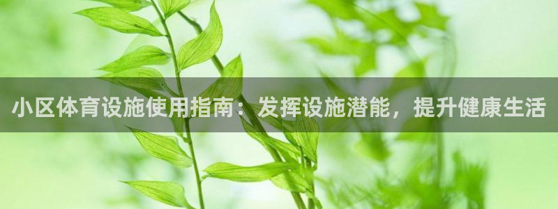 意昂体育3招商：小区体育设施使用指南：发挥设施潜能，