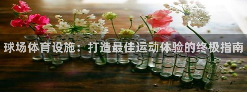 意昂3娱乐首页官网下载：球场体育设施：打造最佳运动体