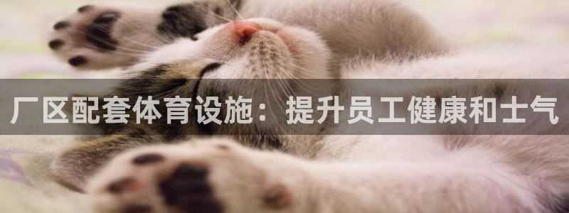 意昂体育3招商电话是多少