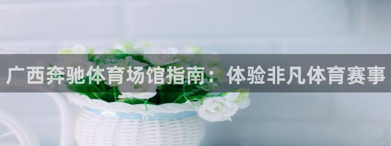 意昂体育3平台假的吗是真的吗吗：广西奔驰体育场馆指南
