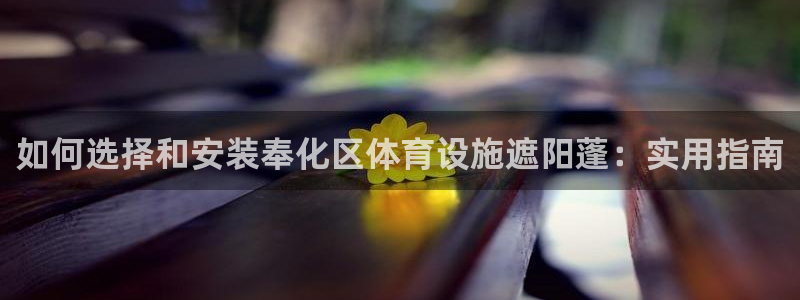 意昂体育3招商电话：如何选择和安装奉化区体育设施遮阳