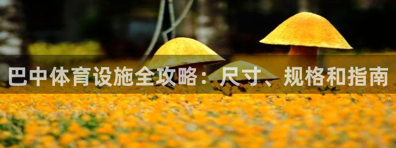 意昂3新能源：巴中体育设施全攻略：尺寸、规格和指南