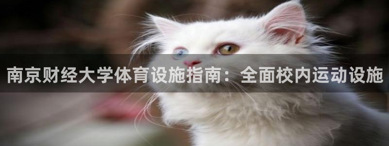 意昂3娱乐