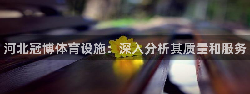 意昂3代理：河北冠博体育设施：深入分析其质量和服务