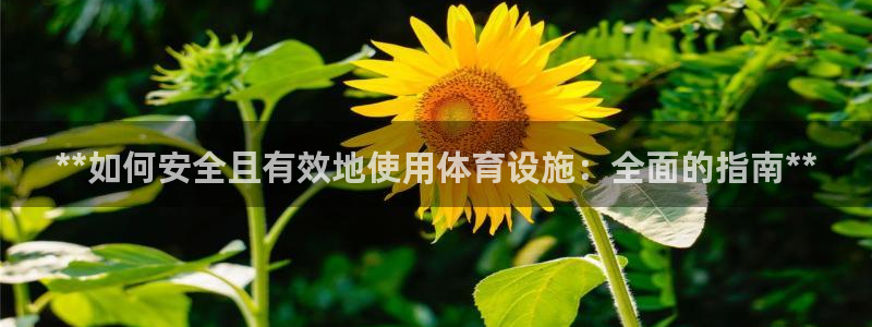 意昂体育3招商电话地址查询：**如何安全且有效地使用