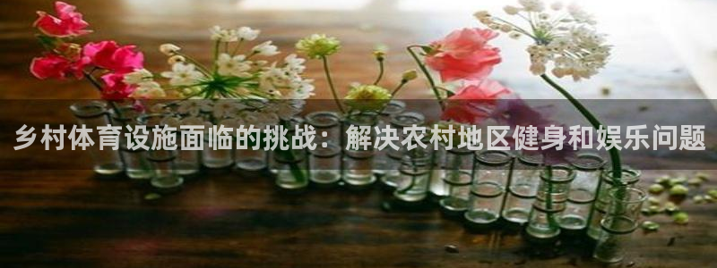 意昂体育3联系电话：乡村体育设施面临的挑战：解决农村