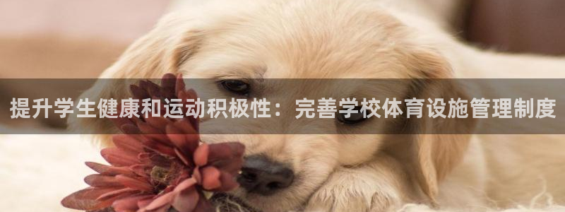 意昂体育3招商电话是多少号码：提升学生健康和运动积极