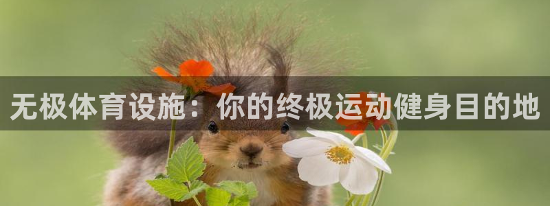 意昂体育3平台是正规平台吗