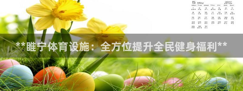 意昂3新能源：**睢宁体育设施：全方位提升全民健身福