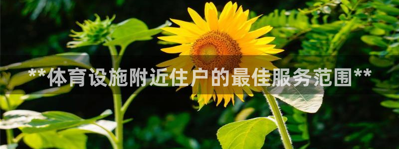 意昂3娱乐网站