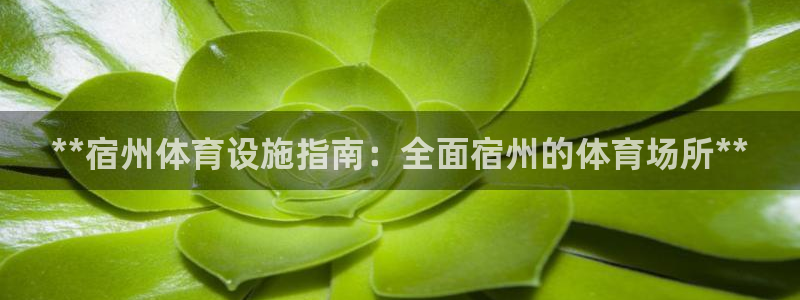 意昂3娱乐代理怎么样：**宿州体育设施指南：全面宿州