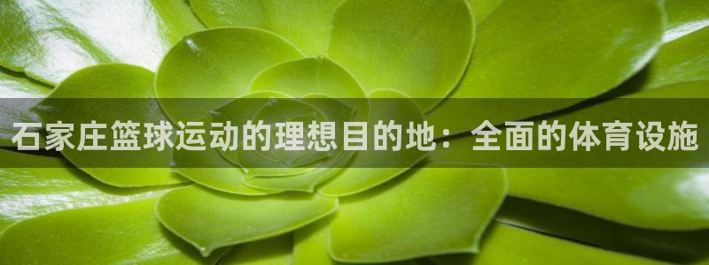 意昂体育3招商电话号码查询：石家庄篮球运动的理想目的