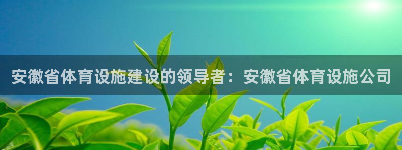 海南意昂体育3发展怎么样：安徽省体育设施建设的领导者