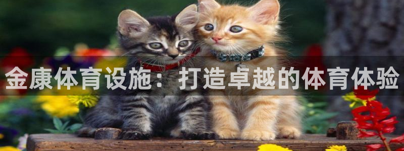 德国意昂3集团：金康体育设施：打造卓越的体育体验