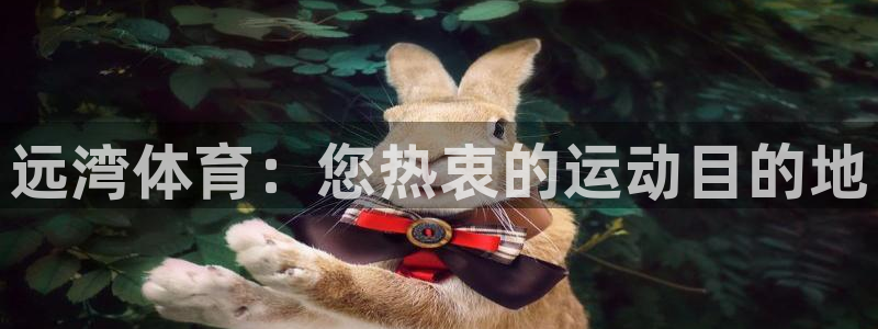 意昂体育3平台注册流程视频：远湾体育：您热衷的运动目